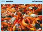 20040821-0098-300D copy