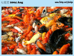 20040821-0106-300D copy