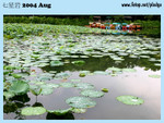 20040821-0131-300D copy
