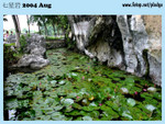 20040821-0233-300D copy