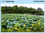 20040821-0250-300D copy