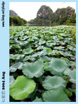 20040821-0258-300D copy