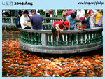 20040821-0287-300D copy