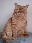 DSC00088