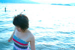 Ansonia_01