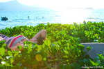 Ansonia_04