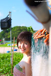 Ansonia_06