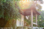 CRW_3016a