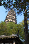 CRW_3040a