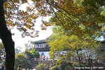 CRW_3068a