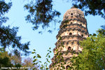 CRW_3097a