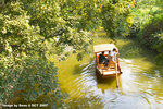 CRW_3102a