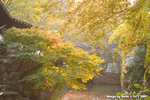 CRW_3166a