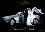 Saunders and Calvin 14 x 10 Covers