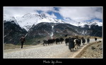 DSC_0075int