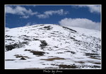 DSC_0101int