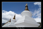DSC_0122int