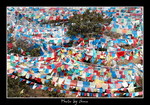DSC_0150int