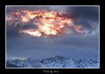 DSC_0270bint