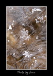 DSC_0347int