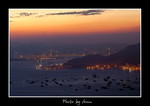 DSC_v1900