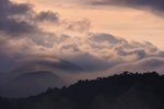 _DSC3994