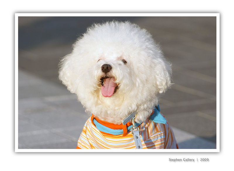 my holiday英语作文_my holiday_my holiday作文