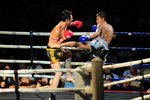DSC_9126