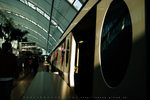 CRW_9653