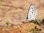 DSCN0036c