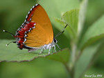 DSCN9961_fungyeun20