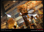 A900_FireDragon_269s