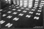 EOS_10D_1103_142