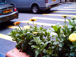 IMG_0064c