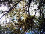 IMG_0092c