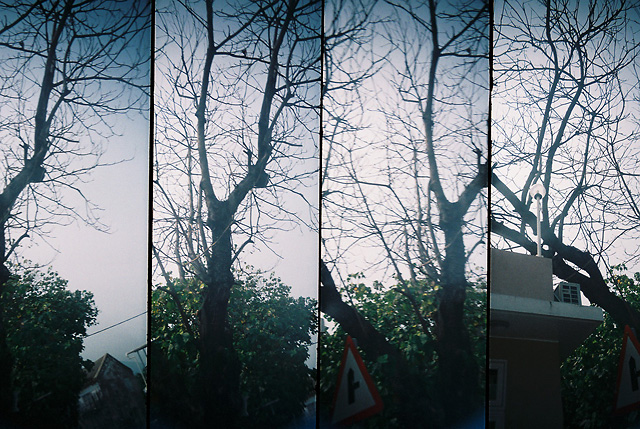 VMING PHOTOGRAPHIX