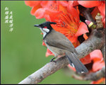 YCW_2951