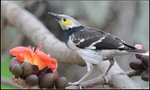 YCW_3065