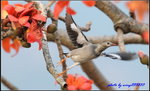 YCW_3253