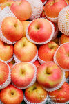 DSC_0012_fruit_word