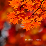 IMG_07124s