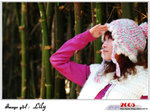 lily_12l