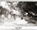chole_012