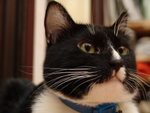 DSC08897