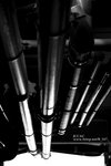 IMG_5152