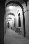 DPP_0031