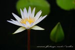 IMG_5383s