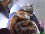 DSC00196