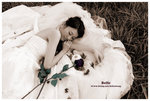 IMG_6061 copy1