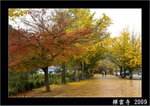 DSC_9194 copy